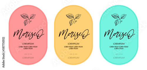 Vine bottle label set leaves cute color style isolated on white background vector 10 eps
