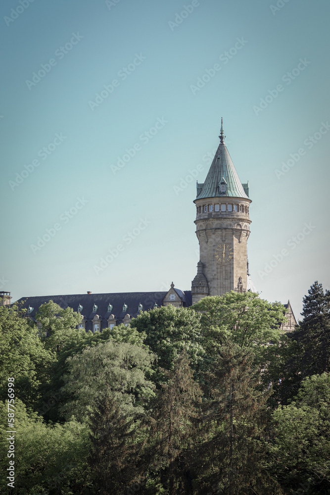 Castle with a tower with a forest in front
