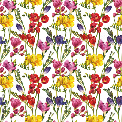 Watercolor flowers. Freesia pattern on a white background