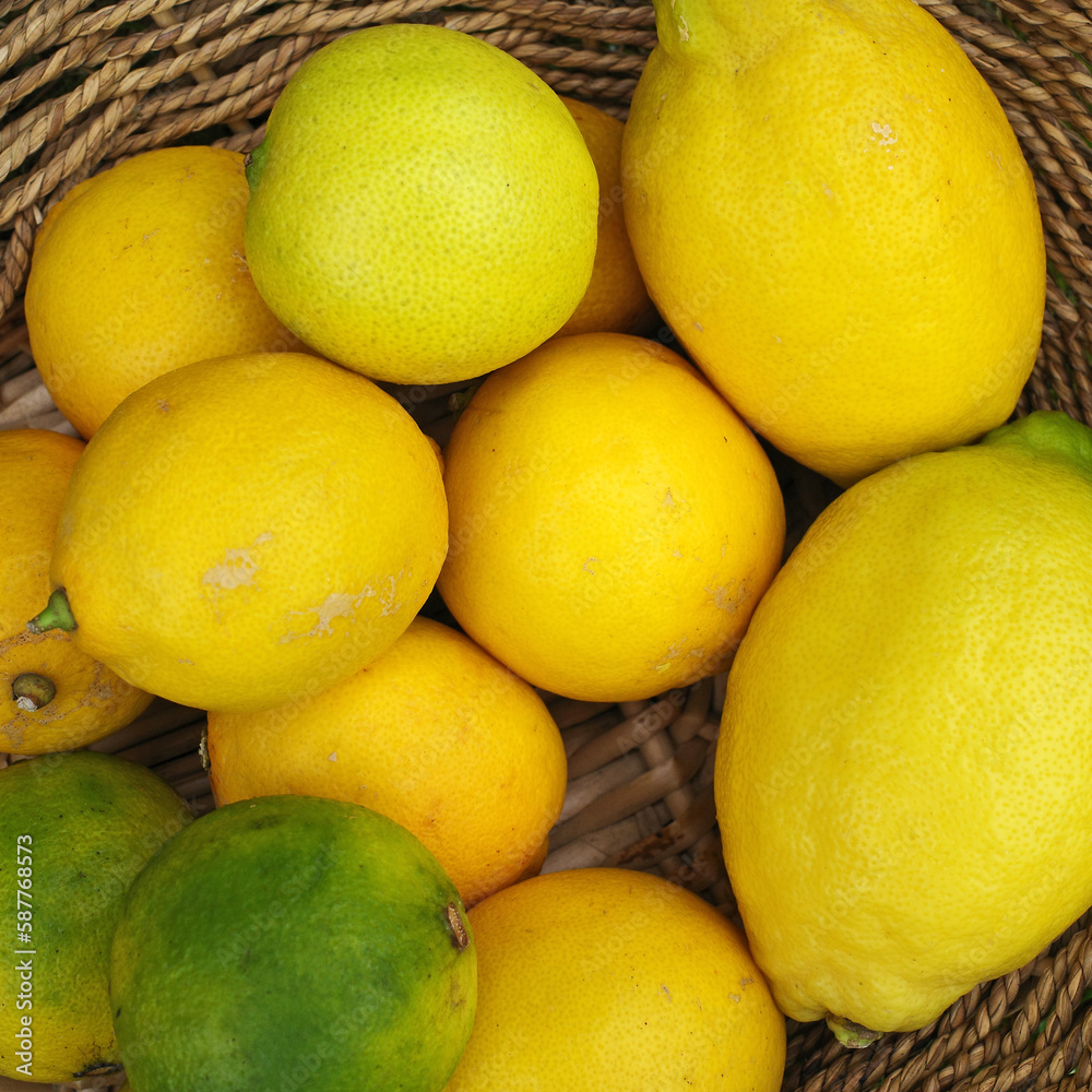 Lemons in limes in various sizes in a wicker basket Lemons in limes in various sizes in a wicker basket