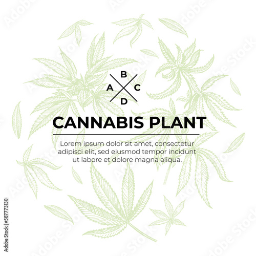 A beautiful sprig of cannabis. Botanical illustration in the style of line art. Plant engraving. Minimalism poster