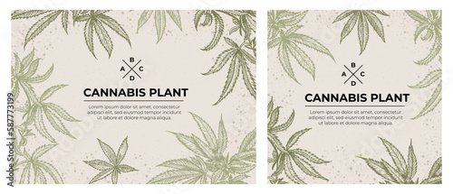 A set of botanical templates. Leaves on eco background. Hemp twigs in line art style, engraving