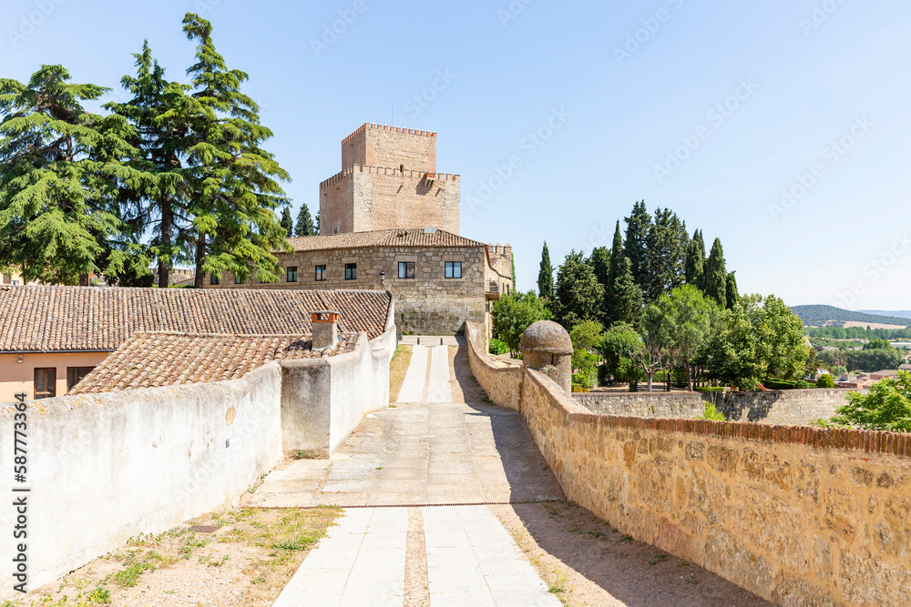 the city wall and the medieval castle of Ciudad Rodrigo, province of Salamanca, Castile and Leon, Spain