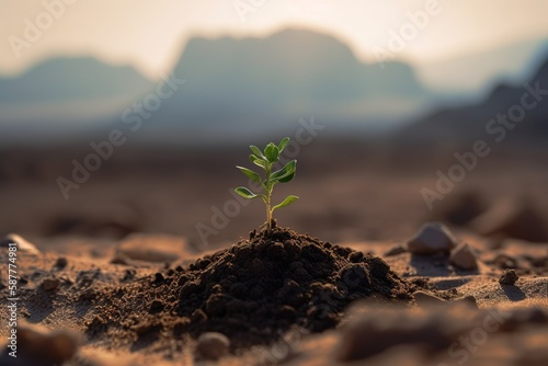 A green seedling growing from a pile of soil with a desert in the background