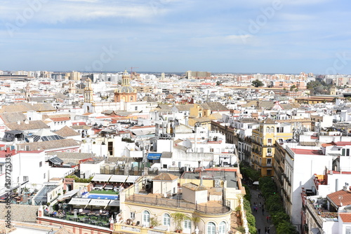 seville, spain, city, monuments, europe, historic, old, panorama, andalusia,  © Albin Marciniak