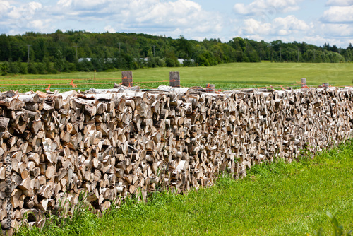 Cut firewood stacked on farmland.