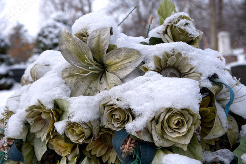 Fleurs mortes gelées par le froid et la neige