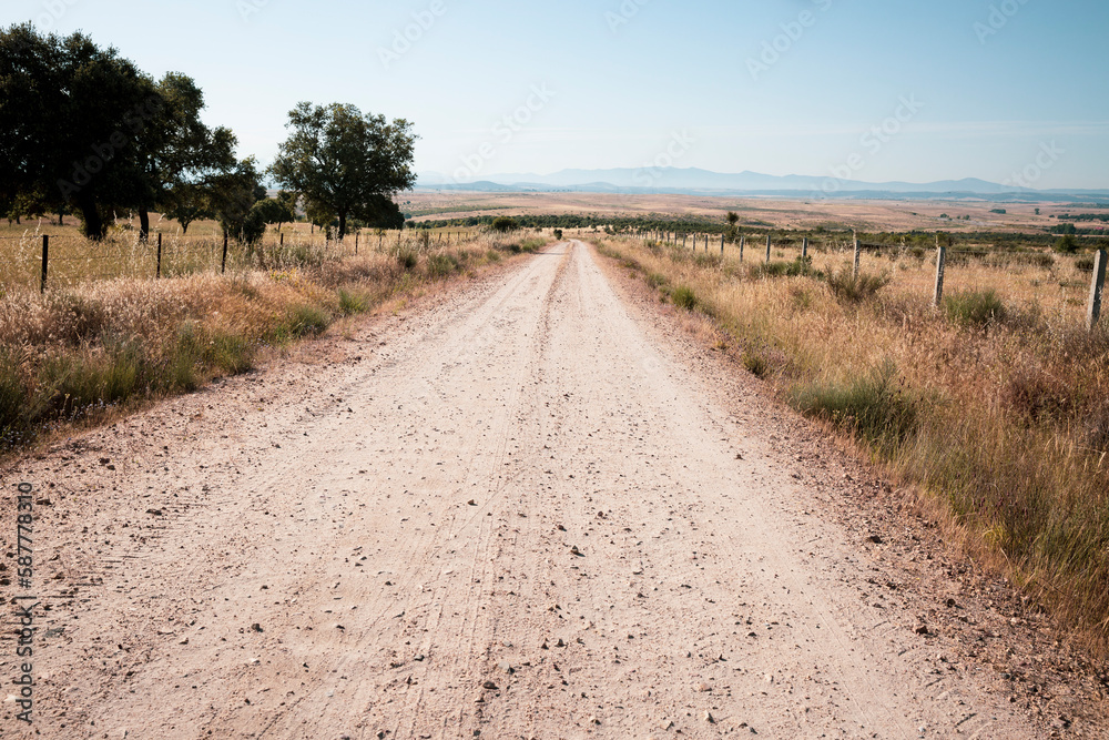 Camino Torres - a gravel road on a summer landscape after Ciudad Rodrigo, province of Salamanca, Castile and Leon, Spain