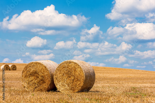 view of hay bales in summer. view of hay stacks. Agriculture. Field after harvest with hay rolls. Landscape with farm land, straw and meadow. Grain crop, harvesting yellow wheat