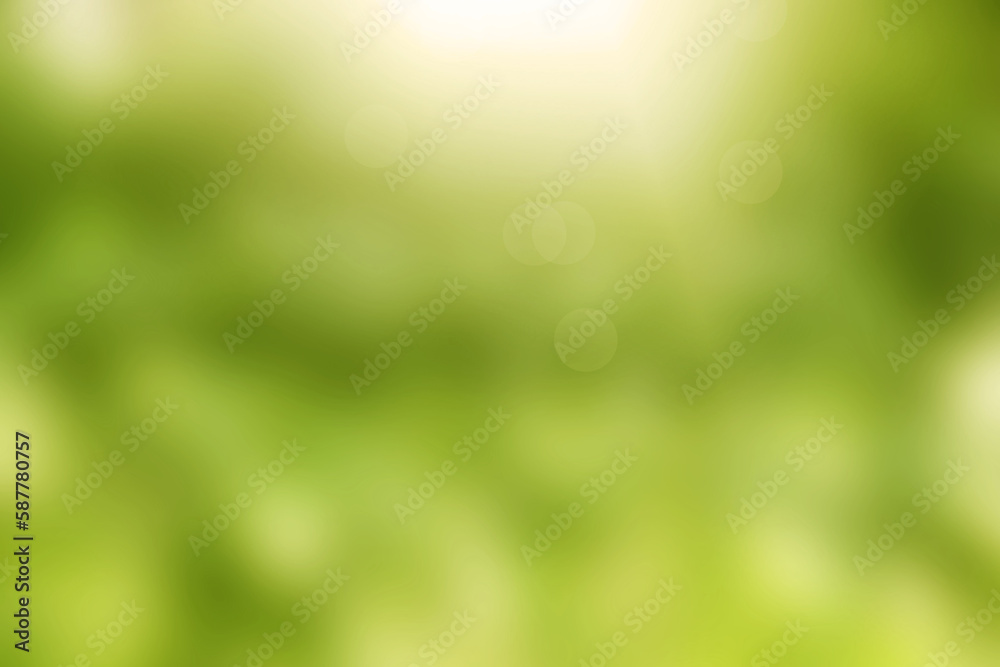 Obraz premium Light summer bokeh blur natural green
