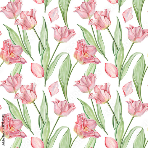 Watercolor seamless floral pattern in vintage style for textile  decor and packing. Striped crown pink tulips on white background.