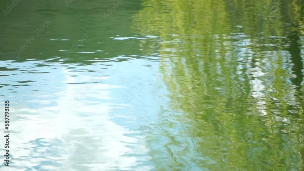 ripples on the water surface with reflection of branches of weeping willow tree and fresh green spring goslings shaking in wind, over blue lake water, creating a serene and tranquil scene. slow motion ripples on the water surface with reflection of branches of weeping willow tree and fresh green spring goslings shaking in wind, over blue lake water, creating a serene and tranquil scene. slow motion