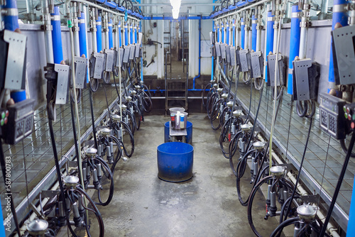 milking equipment at cow farm, farming concept