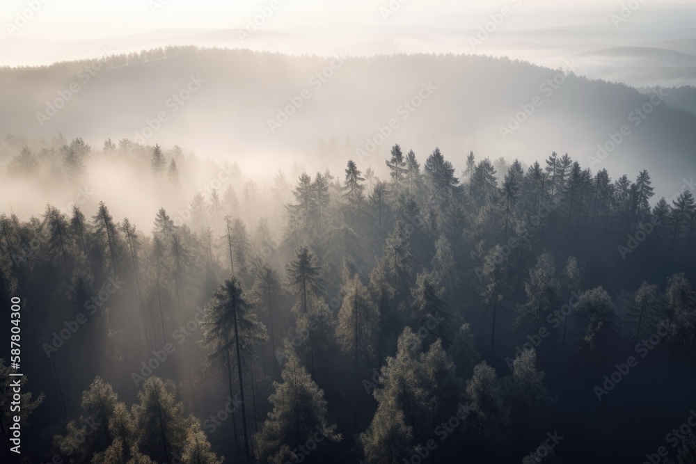 pine forest in the mountains, blanketed in morning mist. The trees rise tall and straight, with their branches covered in needles that are tinged with dew Generative AI