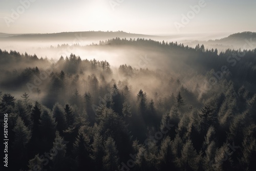 pine forest in the mountains, blanketed in morning mist. The trees rise tall and straight, with their branches covered in needles that are tinged with dew Generative AI