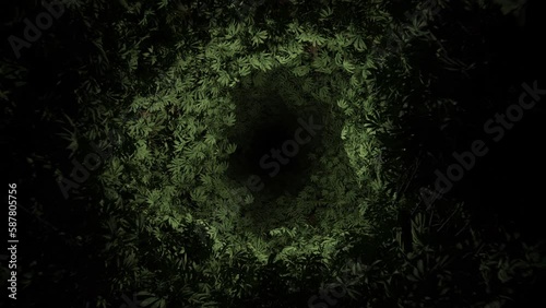 Moving inside a Weed Tunnel Trippy animation high culture Marijuana day 420 Psychedelic visuals 3d vj loop background texture 4k pattern