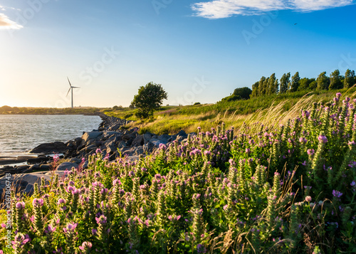 View point in torslanda with flowers in foreground