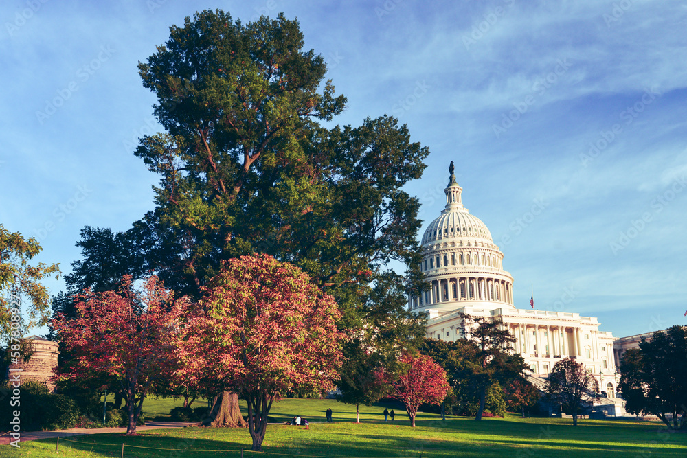 US Capitol building in autumn foliage in Washington dc unites states