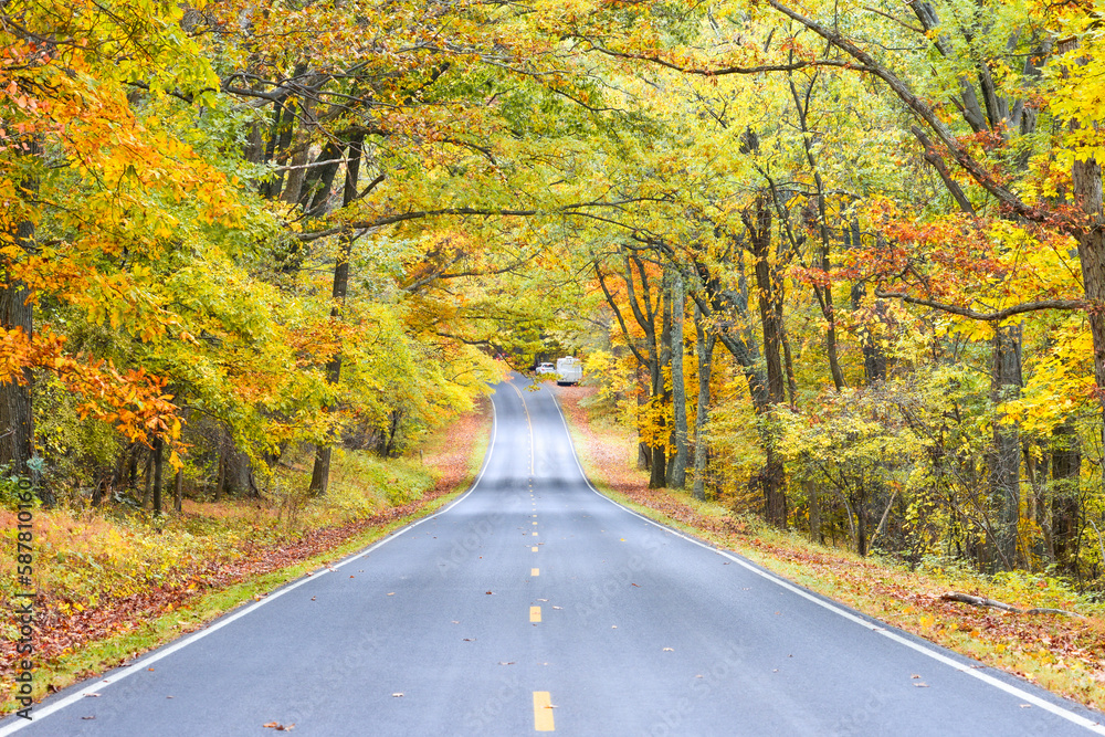Autumn foliage in Shenandoah National Park, Virginia - United States