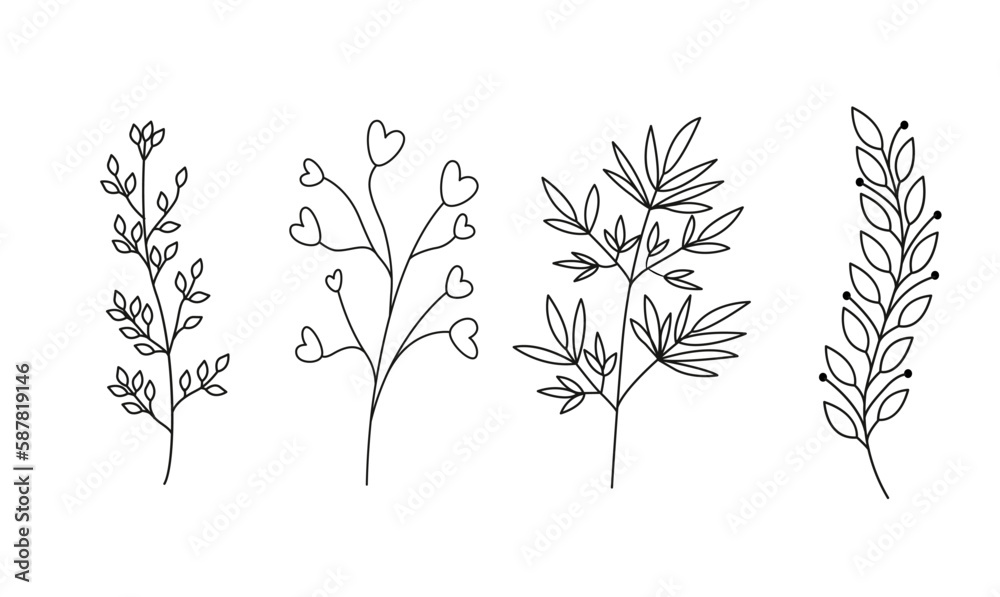 Floral set of hand drawn botanic elements. Vector illustration