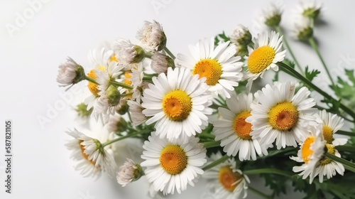 bouquet of tall stalk of daisy flower Generative AI