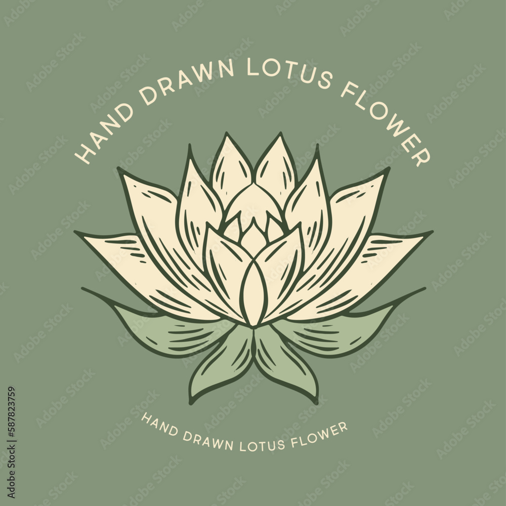 Obraz premium Lotus hand drawn illustrations, vector.