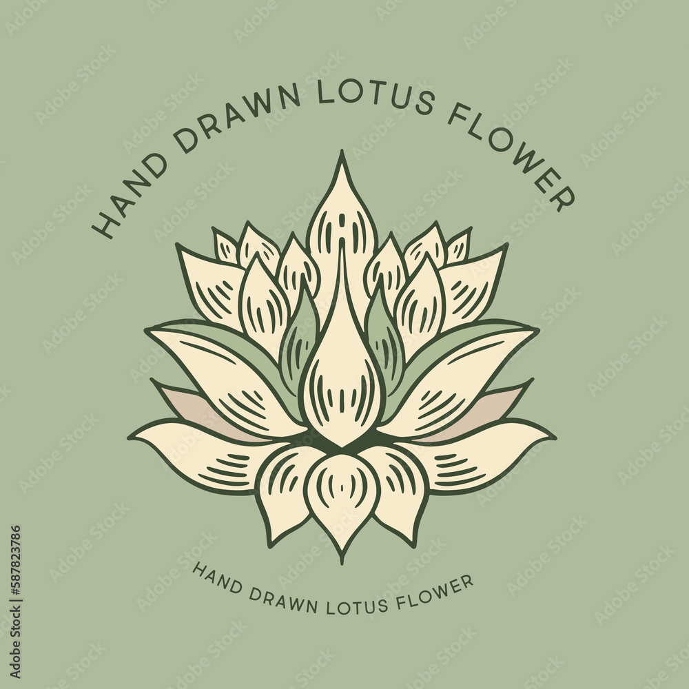 Fototapeta premium Lotus hand drawn illustrations, vector.