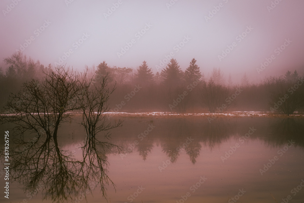 Fototapeta premium Misty Morning