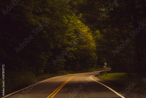 road in the forest