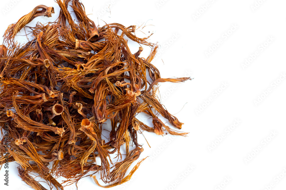 Obraz premium Dried red cotton tree flower