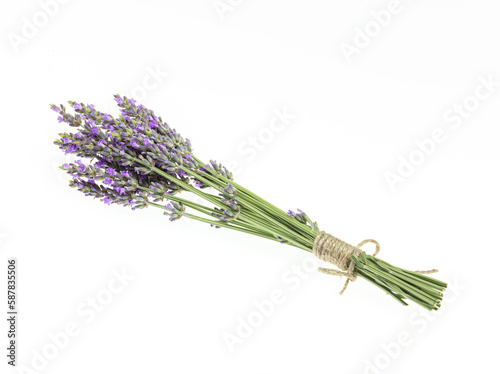 Lavender bouquets on an isolated background. Purple flowers.