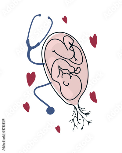 Baby in placenta, stethoscope and heart drawings. Vector illustration