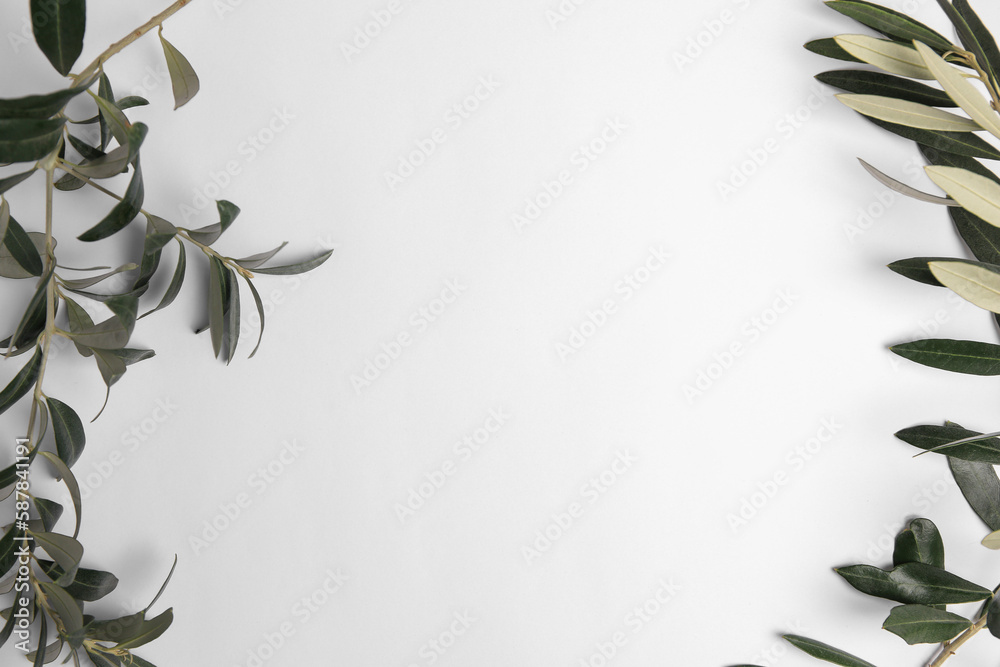 Twigs with fresh green olive leaves on white background, top view. Space for text Twigs with fresh green olive leaves on white background, top view. Space for text