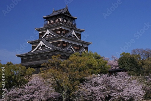 春の広島城と桜
