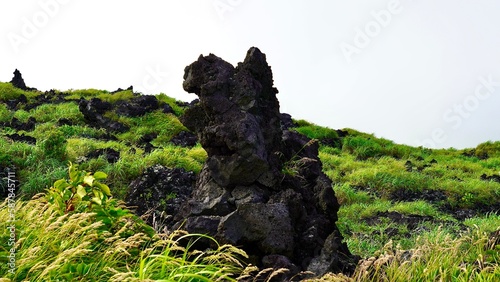 伊豆諸島大島の三原山のゴジラ岩