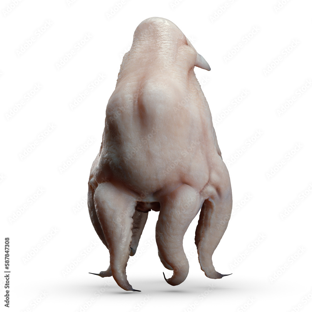 Naklejka premium Alien Parasite 3D CGI Render
