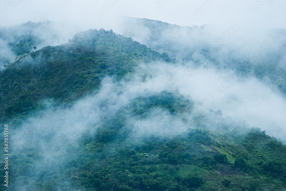 Bosque de nubes en montañas en los alrededores Machupichu y Aguas calientes.