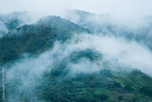 Bosque de nubes en montañas en los alrededores Machupichu y Aguas calientes. © Enrique