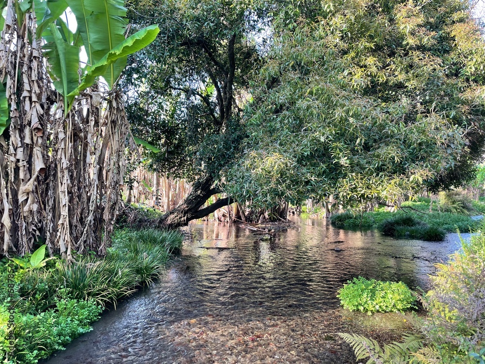 Obraz premium 公園の様子