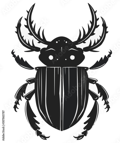Beetle vector