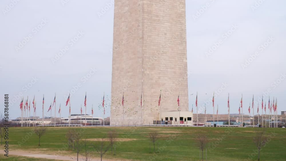 Lockdown Shot Of Flock Of Birds Flying By Ancient Monument Surrounded By National Flags - Washington, District of Columbia Lockdown Shot Of Flock Of Birds Flying By Ancient Monument Surrounded By National Flags - Washington, District of Columbia