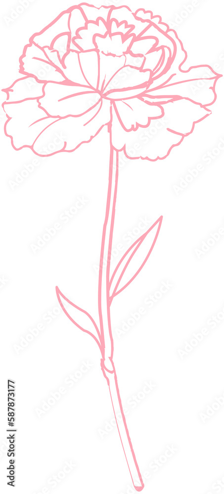 Carnation Flower Line lcon Carnation Flower Line lcon