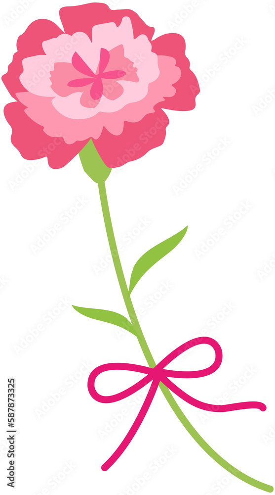 Pink  Carnation  Flower 