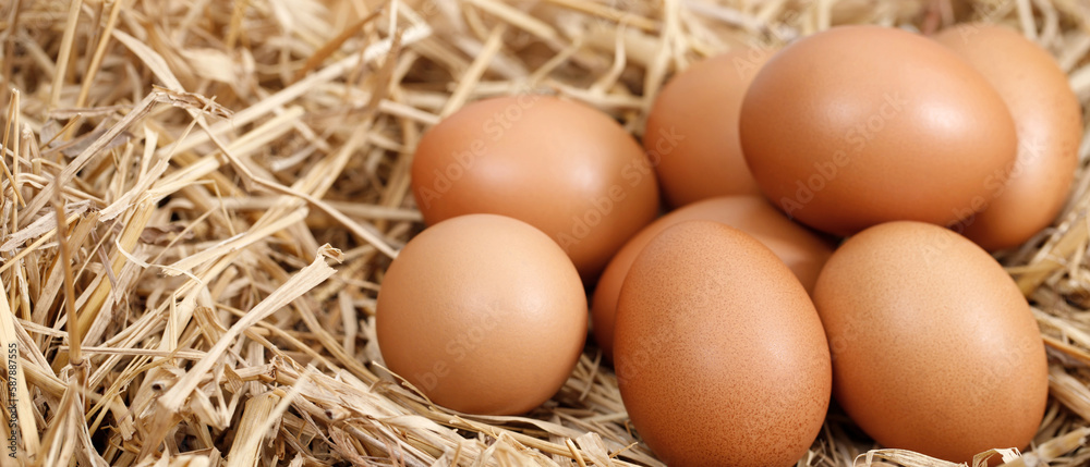 Fresh eggs are ready for breakfast in the farm. Fresh eggs are ready for breakfast in the farm.