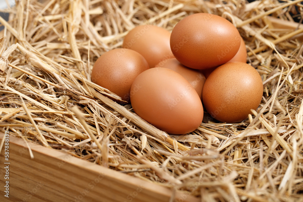 Fresh eggs are ready for breakfast in the farm. Fresh eggs are ready for breakfast in the farm.