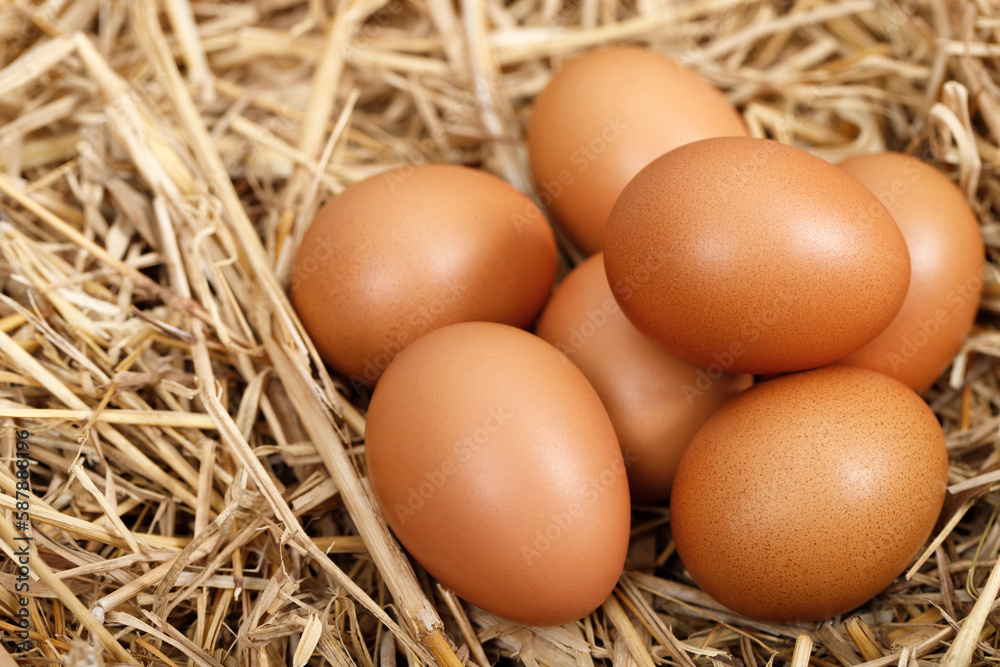 Fresh eggs are ready for breakfast in the farm.