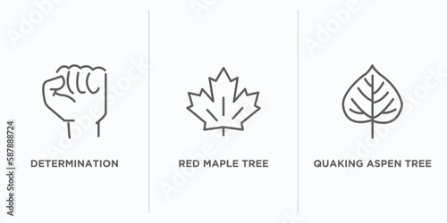 nature outline icons set. thin line icons such as determination, red maple tree, quaking aspen tree vector. linear icon sheet can be used web and mobile