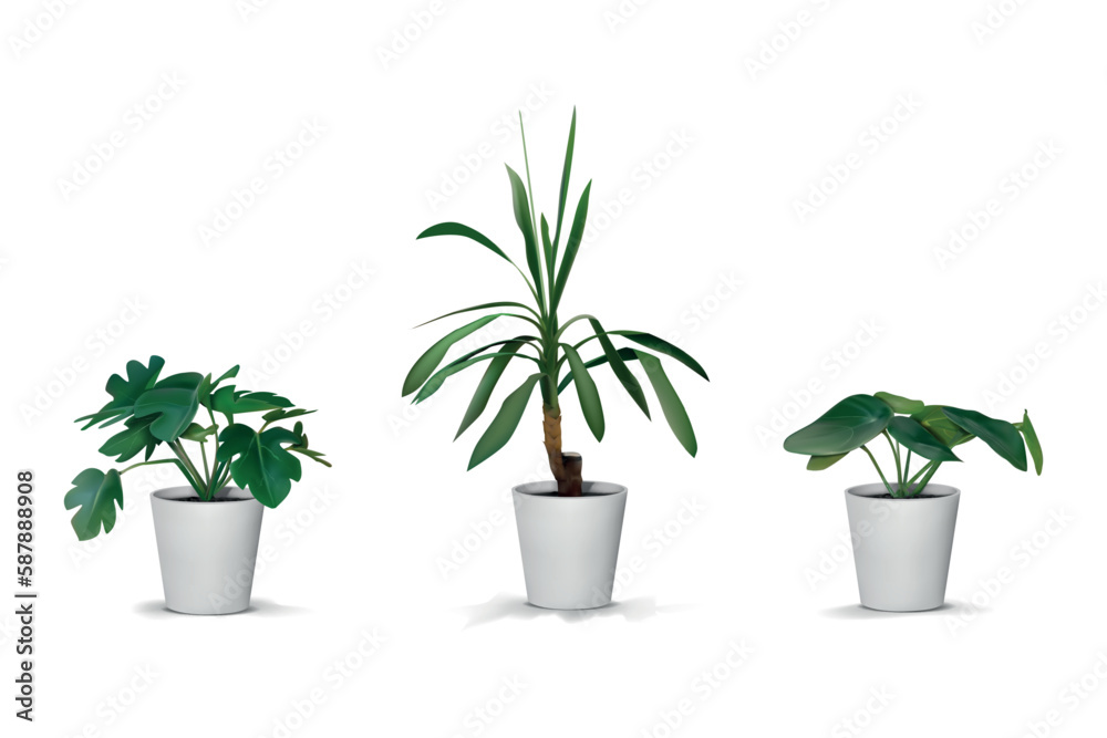 3D trees. Realistic natural houseplant. Tropical plant in flowerpot. White vase. Indoor decor. Green palm and ficus. Exotic foliage. Home garden. Vector isolated interior elements set