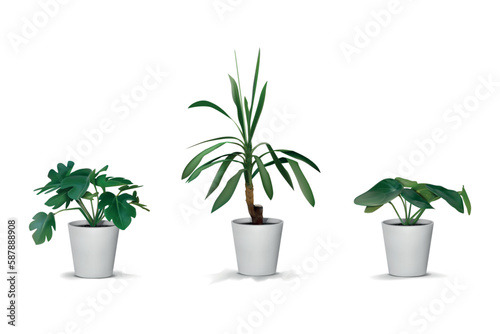 3D trees. Realistic natural houseplant. Tropical plant in flowerpot. White vase. Indoor decor. Green palm and ficus. Exotic foliage. Home garden. Vector isolated interior elements set