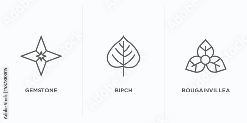 nature outline icons set. thin line icons such as gemstone, birch, bougainvillea vector. linear icon sheet can be used web and mobile